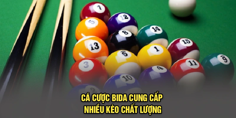 Cá cược bida cung cấp nhiều kèo chất lượng
