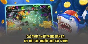 Các Thuật Ngữ Trong Bắn Cá Chi Tiết Cho Người Chơi Tại 13Win