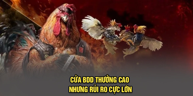 Cửa BDD thưởng cao nhưng rủi ro cực lớn