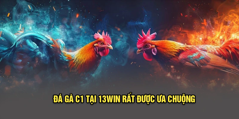 Đá gà C1 tại 13Win rất được ưa chuộng