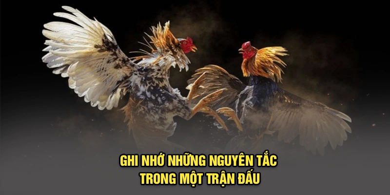 Ghi nhớ những nguyên tắc trong một trận đấu