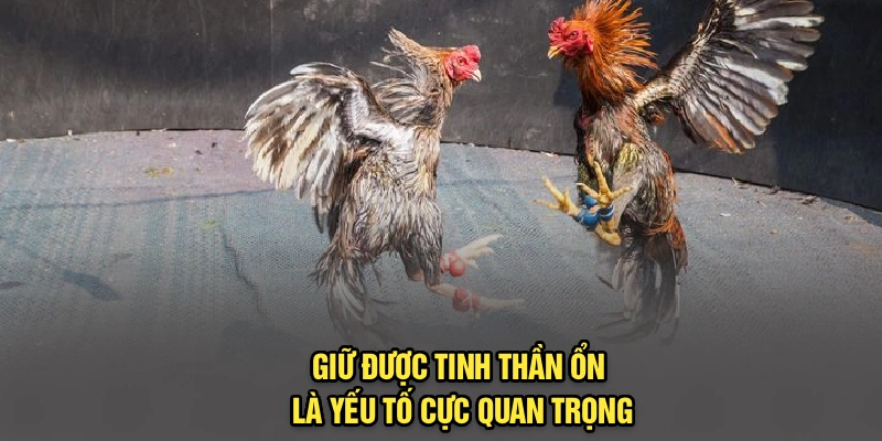 Giữ được tinh thần ổn là yếu tố cực quan trọng