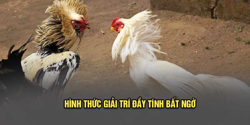 Hình thức giải trí đầy tính bất ngờ