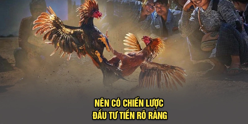 Nên có chiến lược đầu tư tiền rõ ràng