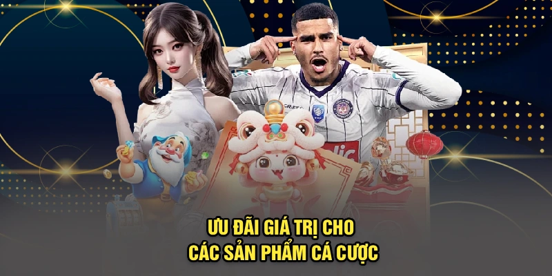 Ưu đãi giá trị cho các sản phẩm cá cược